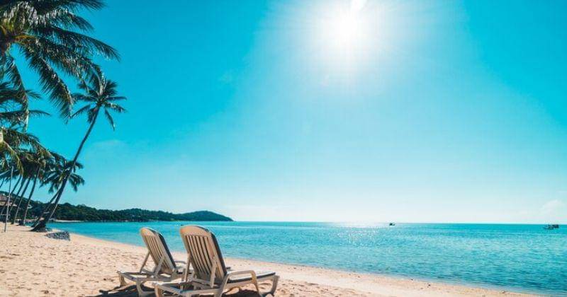 Freepik/lifeforstock